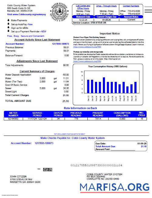 Blank USA Cobb County Water System utility bill template in Word and PDF formats, version 3